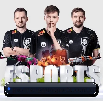 国际化进程(MangoSports)