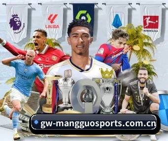 芒果体育官网 APP(MangoSports)